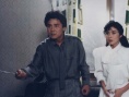 狼和鸽子