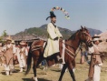 甘同