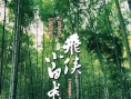 飞侠小白龙