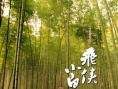 飞侠小白龙
