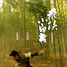 飛俠小白龍