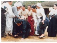 土豆