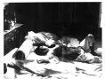 女人殘酷史