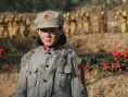 杜鵑花飛