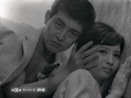 东京流浪者