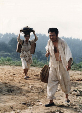 烈日驕陽(yáng)