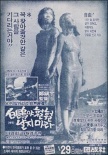 海鷗