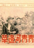 青青河边草