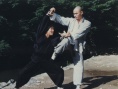 醉八拳狂八拳