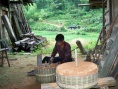 砻谷纪