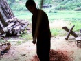 砻谷纪