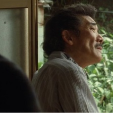 常開野薔薇