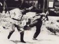 鷹拳