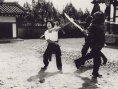 鷹拳