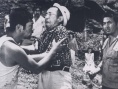 30天的郊游