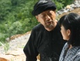 壮乡木棉红