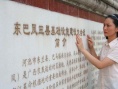 壮乡木棉红