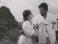 采参人