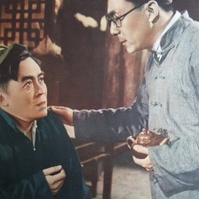 苦菜花