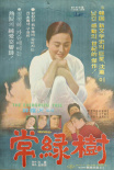 常綠樹