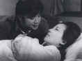 常绿树