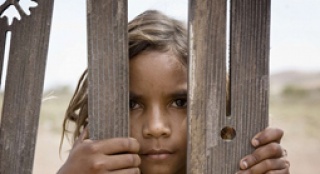 一年的寻找 “被偷走的一代”的土著小男孩——《澳洲乱世情》