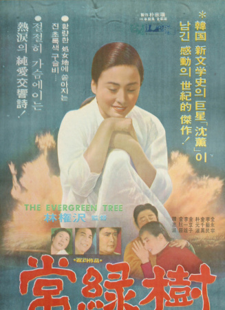 常綠樹