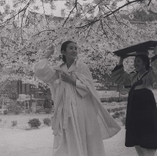 寡婦
