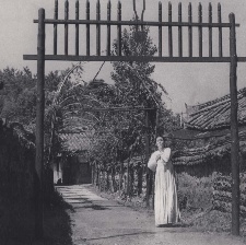寡婦
