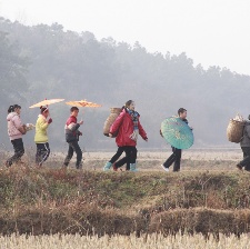 灑滿陽光的路上