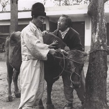 黃昏