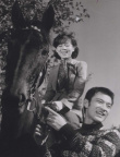 愤怒的苹果