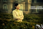 雖然此前《巾幗英雄》、《一代宗師》都傳得沸沸揚(yáng)揚(yáng)，但今年章子怡更回歸大銀幕的首部電影就是9月27日上映的《危險(xiǎn)關(guān)系》。片中，章子怡飾演的杜芬玉，是謝易梵（張東健飾）和莫婕妤（張柏芝飾）這兩個(gè)以征服異性為樂的上流社會(huì)人士打賭的玩物，是一名被一場(chǎng)陰謀所捉弄的柔弱女子。這個(gè)角色是對(duì)感情忠貞不二的“貞美純”傳統(tǒng)女性，外表柔弱、內(nèi)心卻堅(jiān)強(qiáng)無比，與張柏芝飾演的心機(jī)美人莫婕妤形成了鮮明對(duì)比，而面對(duì)花花公子謝易梵懷有復(fù)雜目的的百般勾引，雙方陷入了剪不斷理還亂的情感糾葛。導(dǎo)演許秦豪曾說，當(dāng)時(shí)看到杜芬玉這個(gè)角色，第一個(gè)想起的就是章子怡，外表看上去恬淡柔順，骨子里卻很剛烈倔強(qiáng)，這個(gè)角色似乎是為她量身定做的。