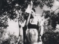 黄土