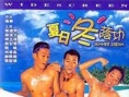 夏日冬荫功