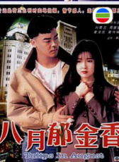 八月郁金香