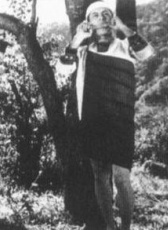 青山碧血