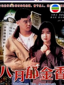 八月郁金香