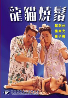 亮證女司機(jī)為何知道男子信息，公安局長(zhǎng)稱(chēng)女司機(jī)是男子親戚的親戚，「恰好認(rèn)得他的車(chē)」，如何看待這一回應(yīng)？