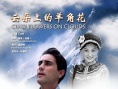 云朵上的羊角花