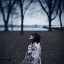 翠西碎片