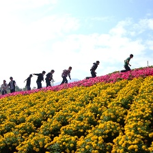 樂火男孩
