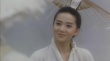 新仙鹤神针