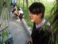 我們畢業(yè)的夏天