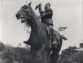 紅將軍