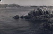 石花村