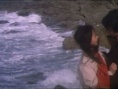花粉