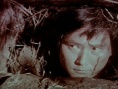 四点，1950