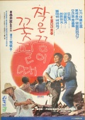 燃燒的青春