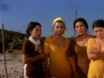 十二寡婦
